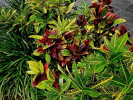 130. Lima, Peru (Day 2)