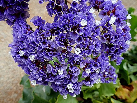 134. Lima, Peru (Day 2)