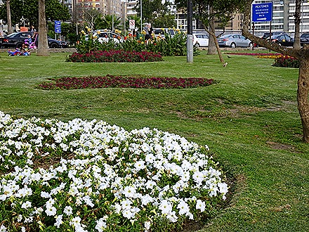 135. Lima, Peru (Day 1)