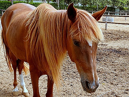 137. Lima, Peru (Day 2)