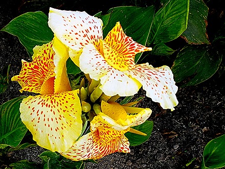 141. Lima, Peru (Day 1)