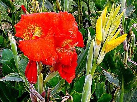 142. Lima, Peru (Day 1)