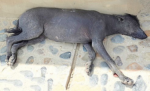 159a. Trujillo, Peru_stitch