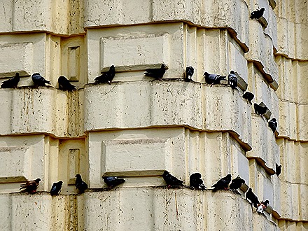 39. Lima, Peru (Day 1)