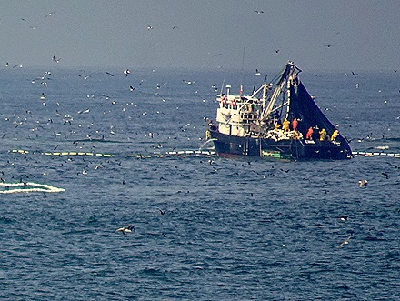 4. Lima, Peru (Day 1)