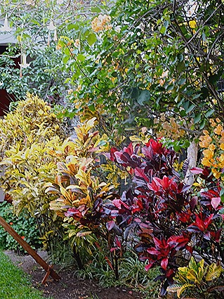 40. Lima, Peru (Day 2)