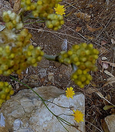 105. Robinson Crusoe Island, Chile