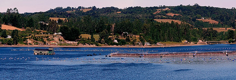10a. Isla Chiloe (RX10), Chile_stitch