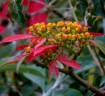 12. San Antonio (Valparaiso), Chile