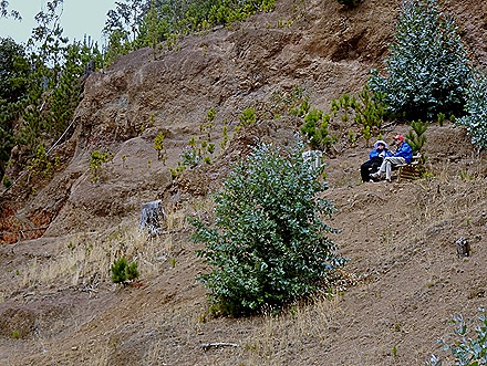 124. Robinson Crusoe Island, Chile