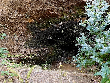 127. Robinson Crusoe Island, Chile