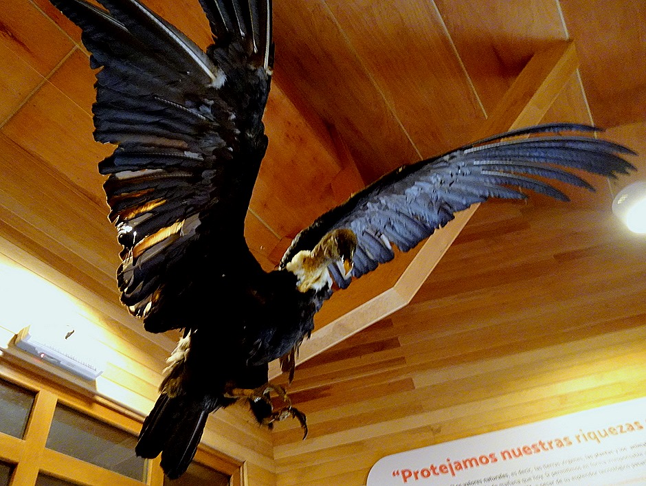 16. Puerto Chacabuco, Chile