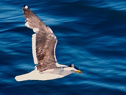 17. Isla Chiloe (RX10), Chile