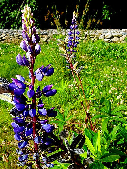 17. Puerto Chacabuco, Chile