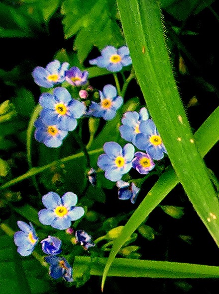 26. Puerto Chacabuco, Chile
