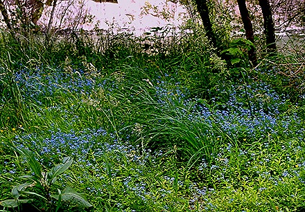 28b. Puerto Chacabuco, Chile