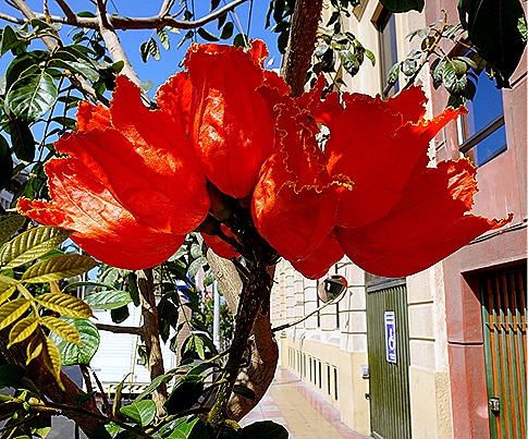 30. Antofagasta, Chile