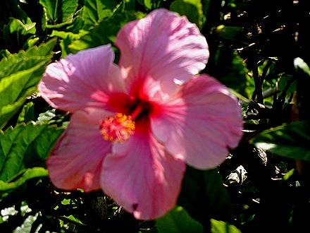 35. Antofagasta, Chile