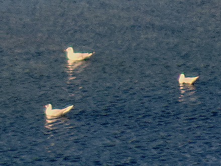 38. Isla Chiloe, Chile