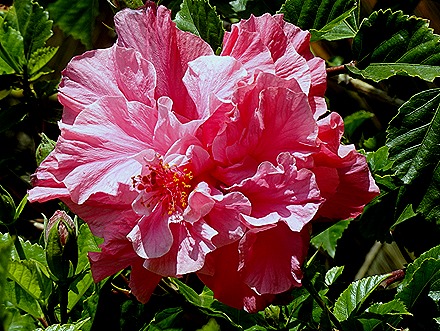 40. Antofagasta, Chile