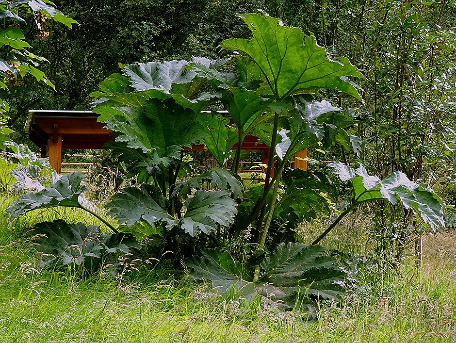 41. Puerto Chacabuco, Chile