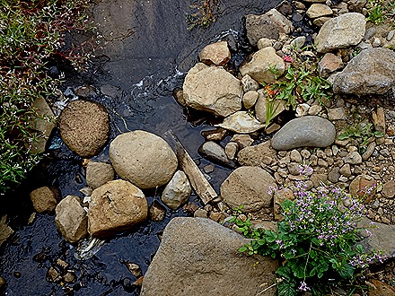 49. Robinson Crusoe Island, Chile