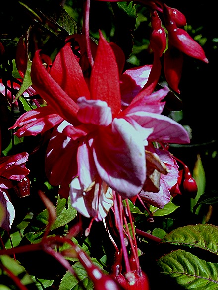 55. Isla Chiloe, Chile