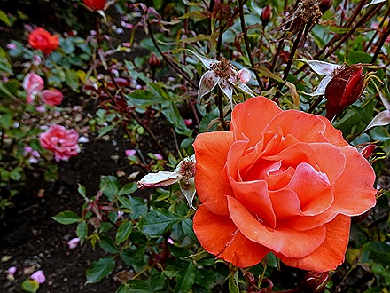 69. Puerto Chacabuco, Chile