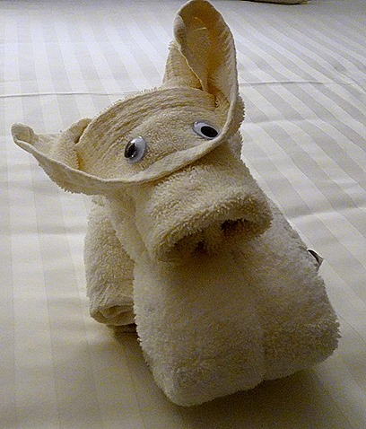 8. Isla Chiloe, Chile-001