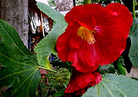 82. Puerto Chacabuco, Chile