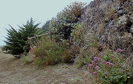 85. Robinson Crusoe Island, Chile