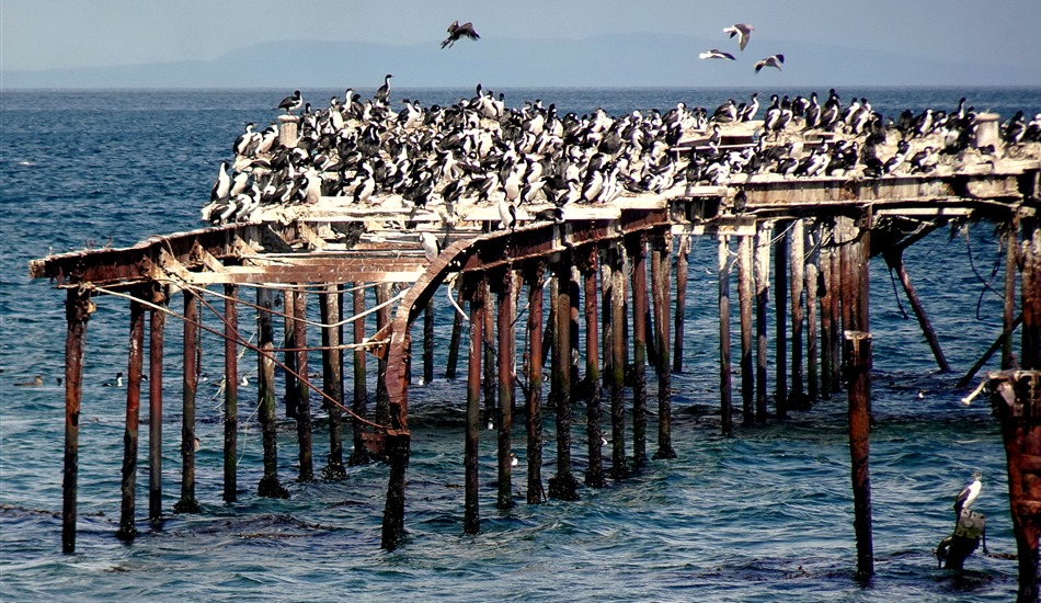 108. Punta Arenas, Chile