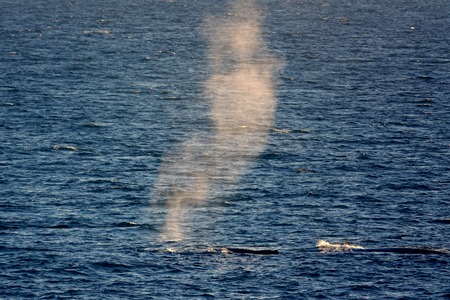 141. Antarctica (Day 1) edited