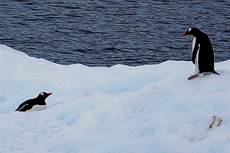 149. Antarctica (Day 2)