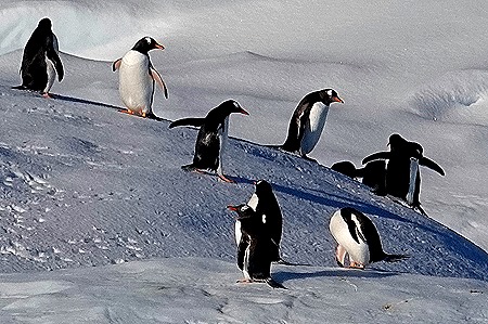 150. Antarctica (Day 1) edited