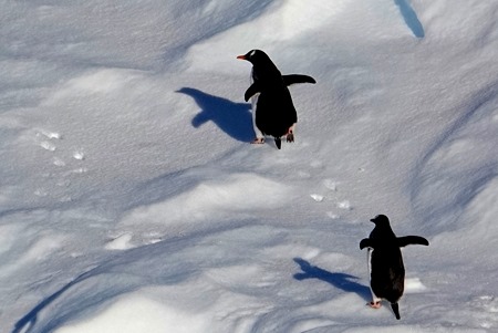 157. Antarctica (Day 1) edited