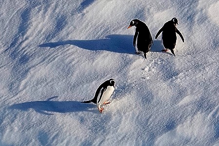 164. Antarctica (Day 1) edited