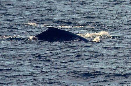 169. Antarctica (Day 1) edited