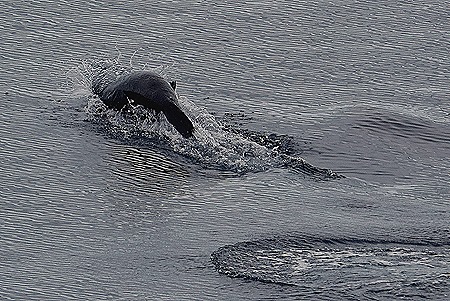 169. Antarctica (Day 2)