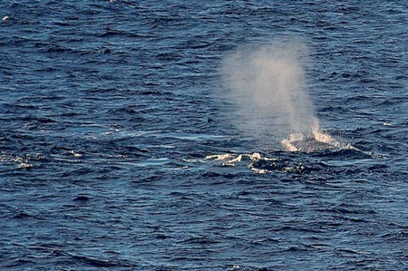 171. Antarctica (Day 1) edited