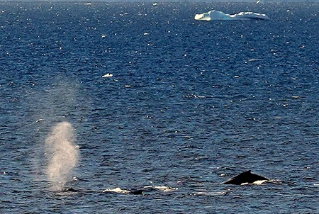 176. Antarctica (Day 1) edited