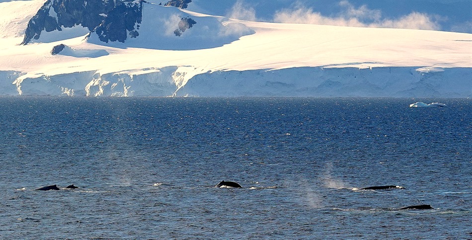 179. Antarctica (Day 1) edited