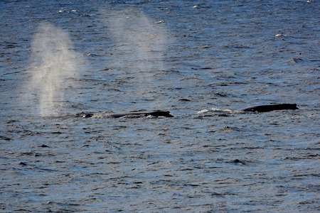 182. Antarctica (Day 1) edited