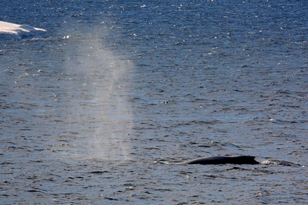 184. Antarctica (Day 1) edited