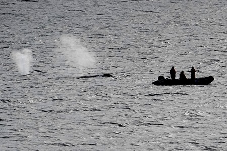 204. Antarctica (Day 1) edited