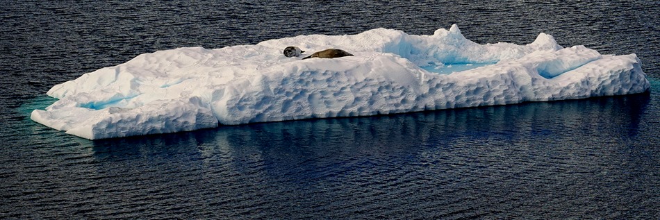 277. Antarctica (Day 1) edited