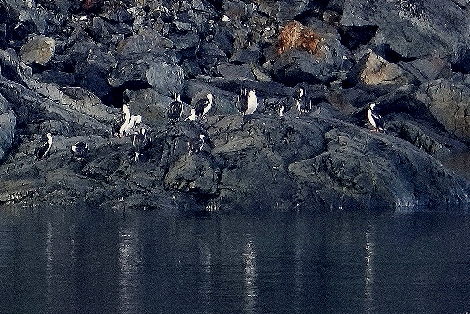 309. Antarctica (Day 1) edited