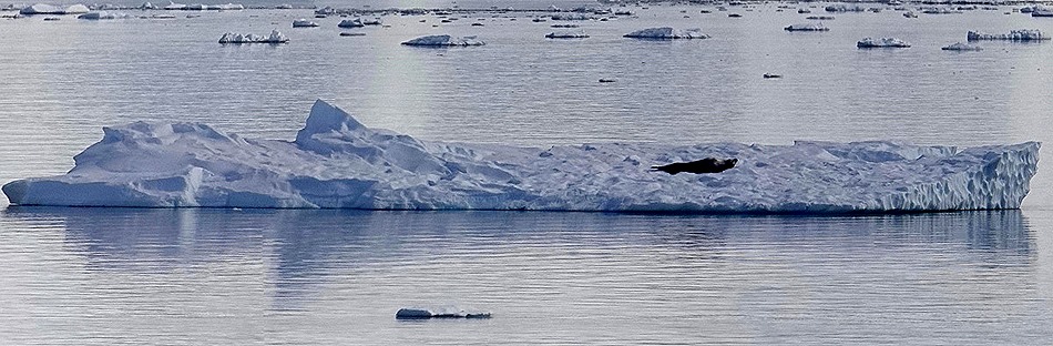 379a. Antarctica (Day 1) edited_stitch