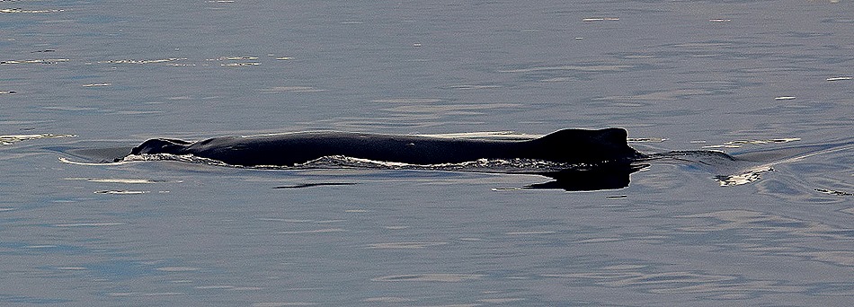 389. Antarctica (Day 1) edited