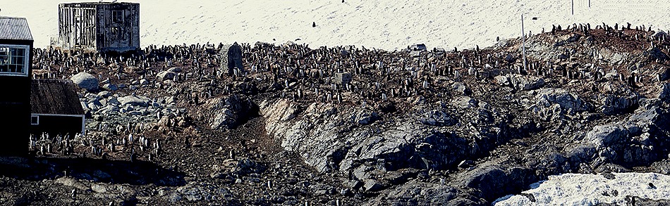 435a. Antarctica (Day 1) edited_stitch